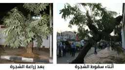 شكاوي المواطنين