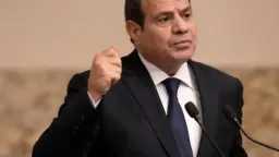 اخبار مصر