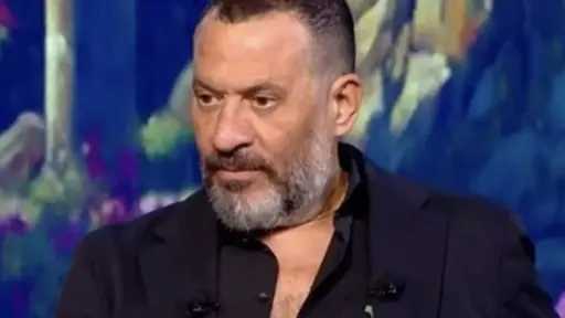فن