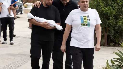 فن