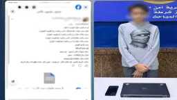 امن مصر