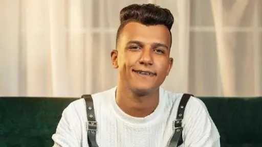 فن