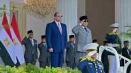 شئون عربية