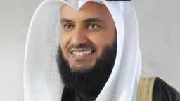 فن