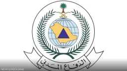 شئون عربية
