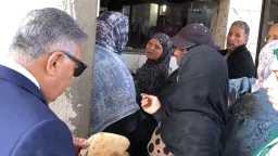 المحافظات