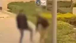 السوشيال