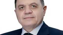 امن مصر