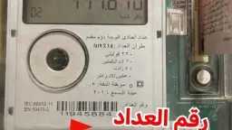 اخبار مصر