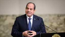 اخبار مصر