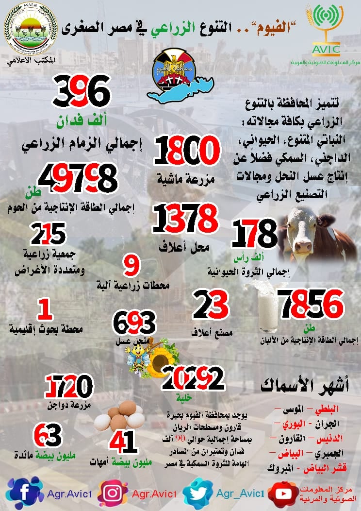 0531d8c3f15a2db6aa9efdaed0024615.jpg